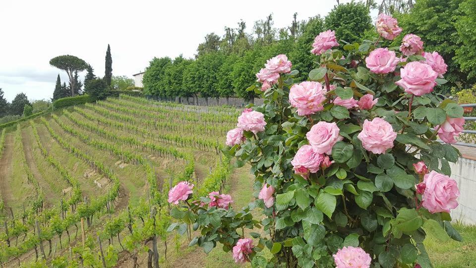 Lari Residence Il Vigneto المظهر الخارجي الصورة