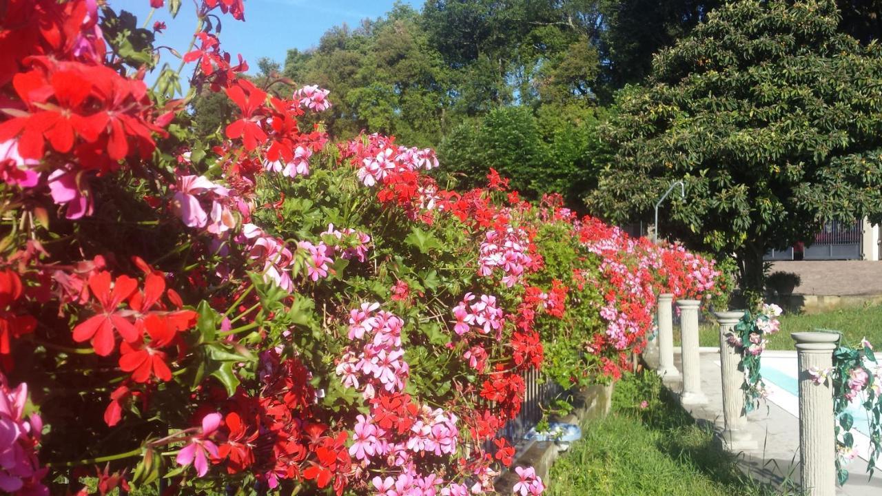 Lari Residence Il Vigneto المظهر الخارجي الصورة